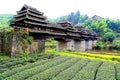 The unique buildings of the nationality in Sanjiang, Guangxi Province