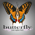 Butterfly logo for all types of activities