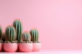Unique Cactus mockup background. Generate Ai