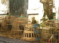 Unique chicken cage