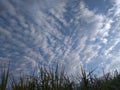 A unique close up of a charming view of a flawless pattern of clusters of white clouds