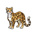 Unique Clouded Leopard Illustration for Coloring Fun Royalty Free Stock Photo