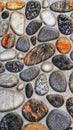 a unique collection of aesthetically charming coral stones for the background Royalty Free Stock Photo