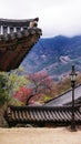 A unique colorful Korean temple.