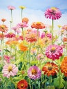 Unique and Colorful Watercolor Zinnia Field AI Generated