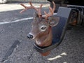 A unique cover for a tow ball hitch in the form of a Reindeer head l