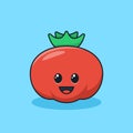 Unique cute red tomato fruit flat design icon graphic vector Royalty Free Stock Photo