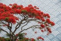 Tree with red flowers on background wave wallpaper 3D Royalty Free Stock Photo