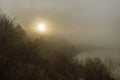 A unique dawn in the Carpathians with fog over a fast river.