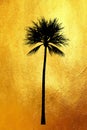Palm tree with leaves silhouette isolated on shiny golden background. Creative abstract