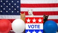 Three diverse cats sitting behind podium with VOTE poster American flag in background