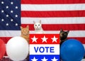 Trio of patriotic cats ready to vote