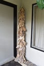 Unique drift wood tree art