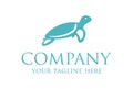 Light Blue Turtle Concept Logo Design