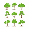 Unique Flat Natural Tree Collection Vector