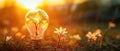 The Unique Fusion Of Nature And Innovation A Blossoming Tree Encased In A Radiant Light Bulb Royalty Free Stock Photo