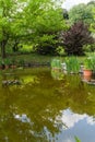 Beautiful pond and plants at the Giardino delll`Iris in Florence Italy Royalty Free Stock Photo