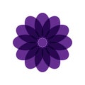 MANDALA purple 09