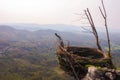 An artificial or human made giant bird nest on the edge of a cliff