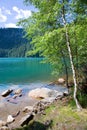 Glacial Black lake Cerne jezero, Sumava mountains, South Bohemian Region, Czech Republic Royalty Free Stock Photo