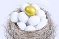 Unique gold egg investment Royalty Free Stock Photo