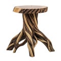 Rustic wooden tree stump side table with twisted branch legs and natural wood grain texture isolated on white background Royalty Free Stock Photo