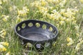 Unique handmade bowl in natural meadow with cowslips