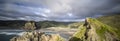 Piha Beach Overview Panoramic Royalty Free Stock Photo