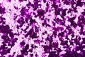 Unique holographic glitter background, texture in luxury violet color.