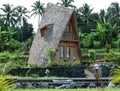 unique house made of bamboo and shingle roof