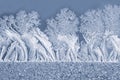 The unique ice patterns on window glass. natural background and texture Royalty Free Stock Photo