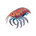 Unique Cryptolithodes Crustacean Realistic Illustration Royalty Free Stock Photo