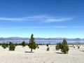 Unique lake in desert mountain with pine trees, California