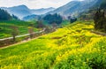 Rapeseed Flower Sea and Karst Landform