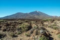 Unique landscape of Teide National Park and view of Teide Volcano peak. Tenerife Island