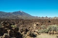 Unique landscape of Teide National Park and view of Teide Volcano peak. Tenerife Island