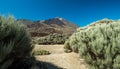 Unique landscape of Teide National Park and view of Teide Volcano peak. Tenerife Island