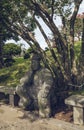 Unique lavarock sculpure of sitting Dol Hareubang at Spirited garden