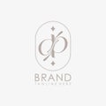 Unique letter DP logo company and icon business