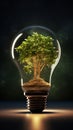 A Unique Light Bulb Design with a Tree Encased Inside Royalty Free Stock Photo