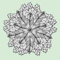 Unique mandala with leaves. Round zentangle for coloring book pages. Circle ornament pattern for henna tattoo design Royalty Free Stock Photo