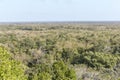 The unique Mayan ruins of Ek Balam, known for its well-preserved stucco facade of an earth monster