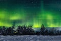 green polar aurora borealis in the night sky and against the background of trees, snow in winter Royalty Free Stock Photo