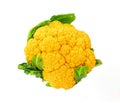 Unique Orange Cauliflower Royalty Free Stock Photo