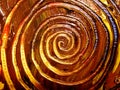 Unique Painted Spiral Patterns Royalty Free Stock Photo