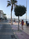 Unique park , beach, summer, yachts in port of Alicante