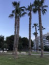 Unique park , beach, summer, yachts in port of Alicante