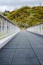 Unique Perspective of an Empty Foot Bridge with Tree Line Backgr Royalty Free Stock Photo