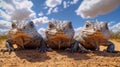 Unique perspective of three lizards basking in warm sunlight under a beautiful sky Royalty Free Stock Photo