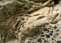 Weathered porous rock texture background.